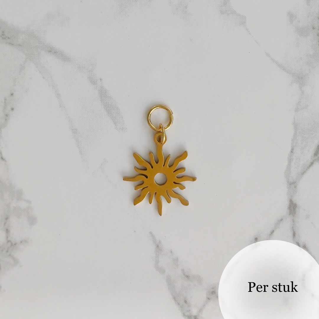 Mix & match RVS bedel zon goudkleur