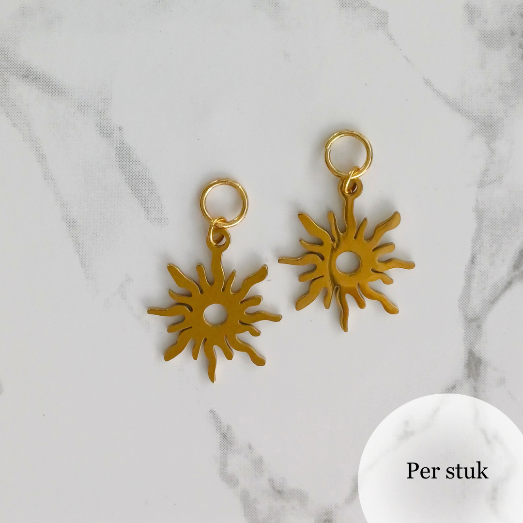 Mix & match RVS bedel zon goudkleur