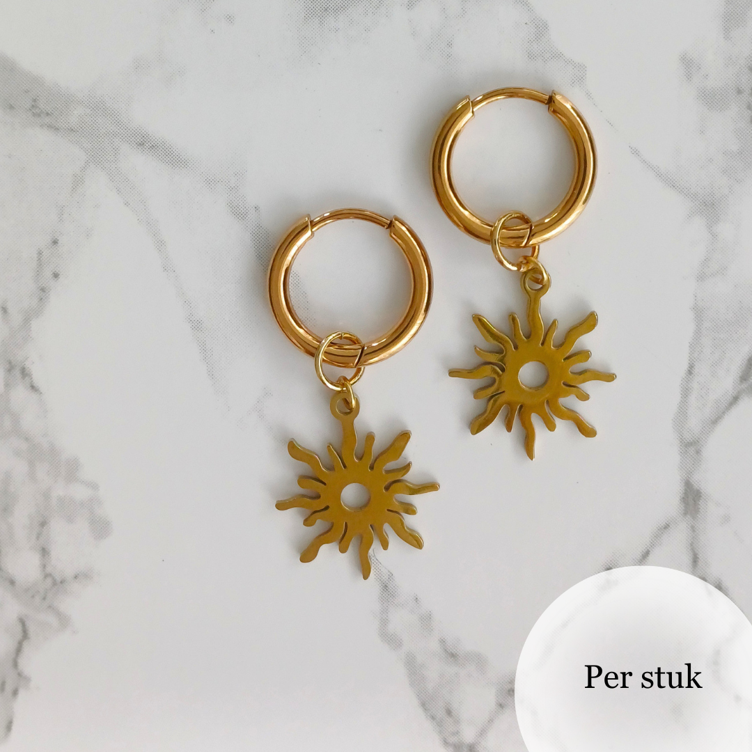Mix & match RVS bedel zon goudkleur