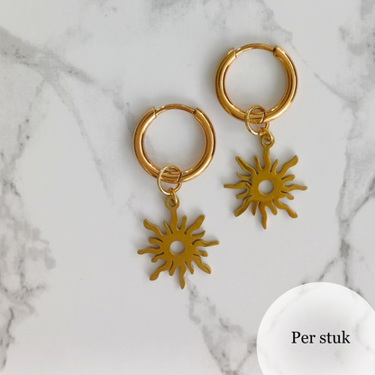 Mix & match RVS bedel zon goudkleur
