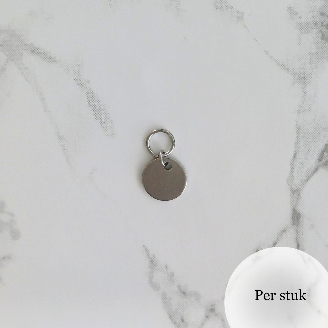 Mix & match oorbel bedel RVS rondje zilverkleur