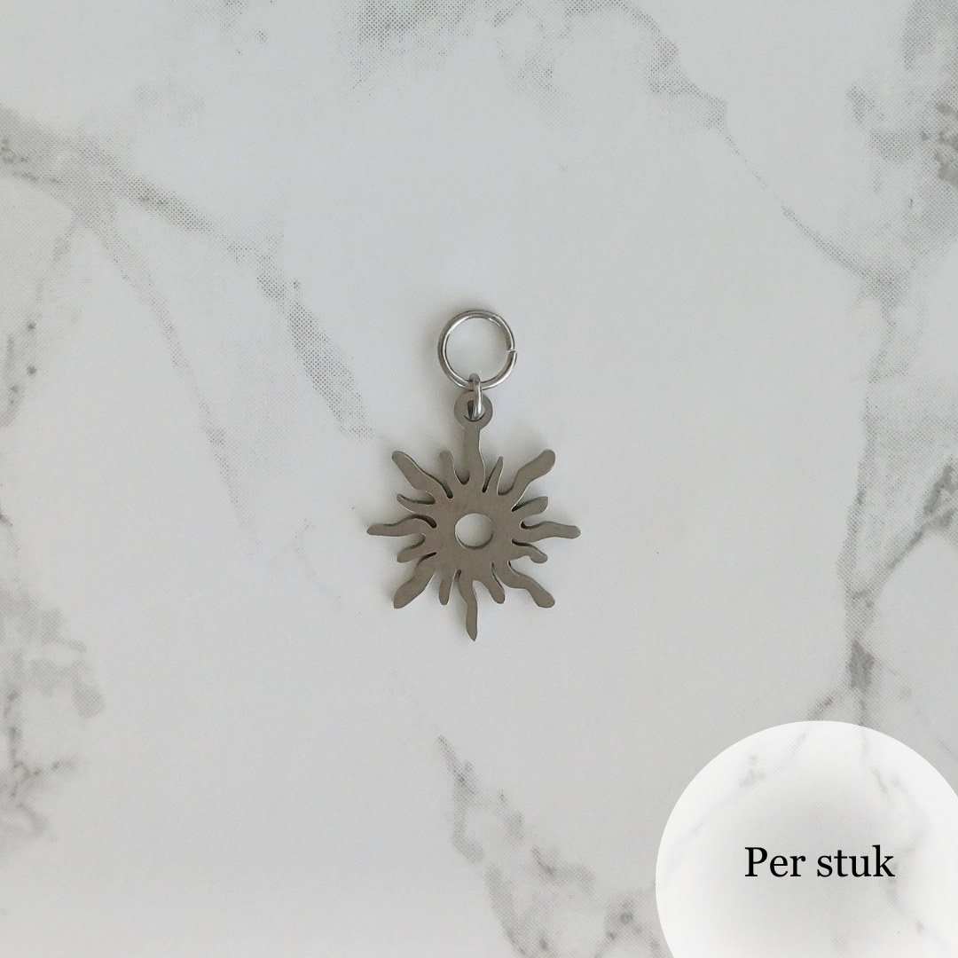 Mix & match RVS bedel zon zilverkleur