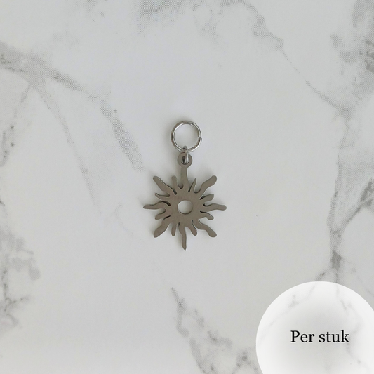 Mix & match RVS bedel zon zilverkleur