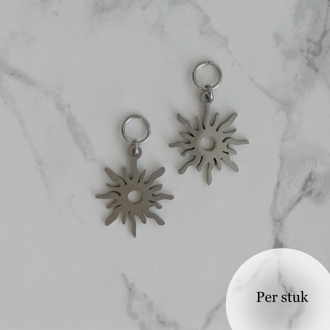 Mix & match RVS bedel zon zilverkleur