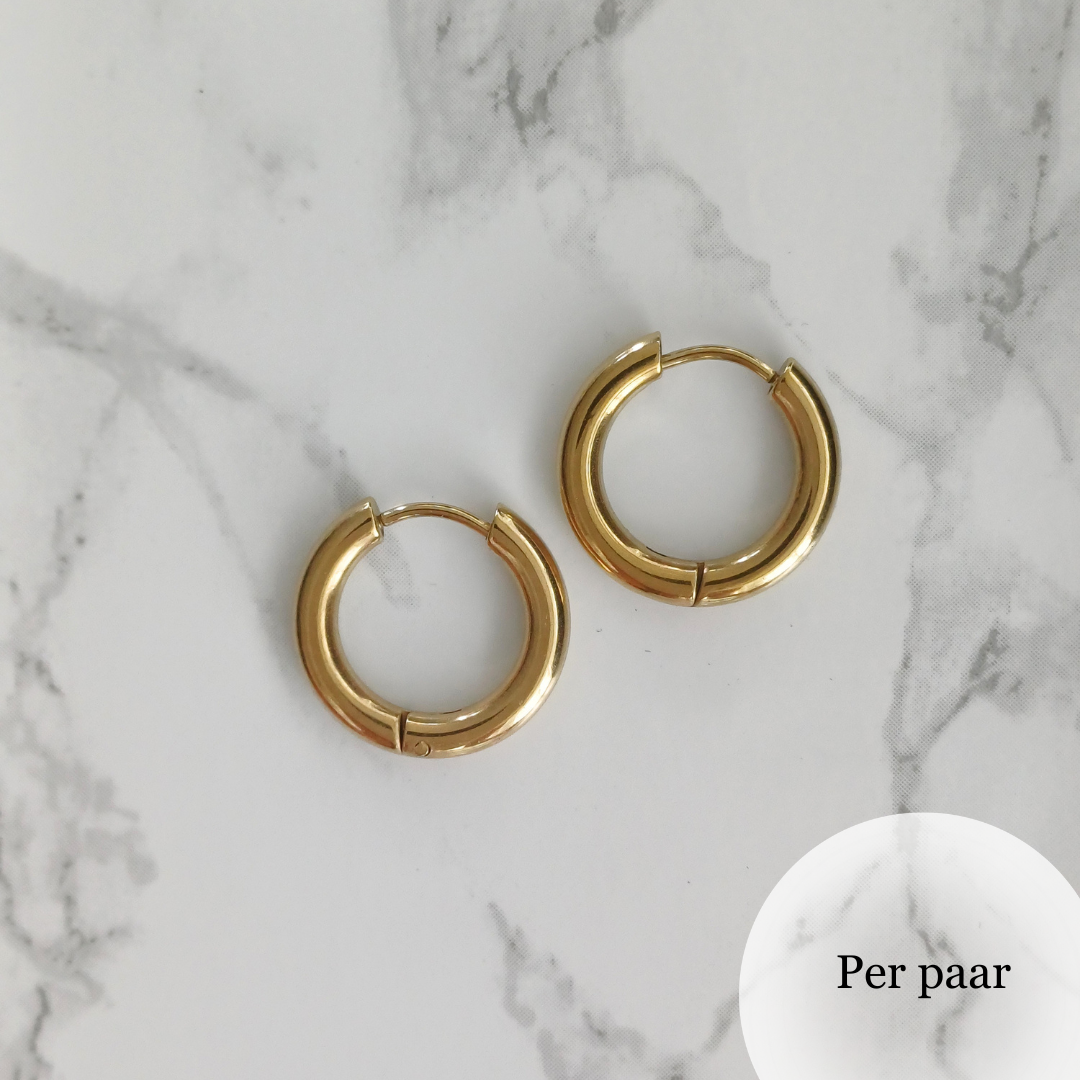 Oorringen groot goud RVS