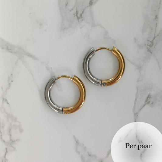 Oorringen groot zilver/goud RVS