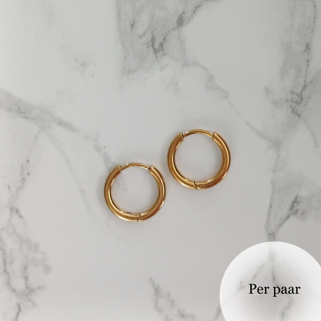 Oorringen 18K gold plated RVS