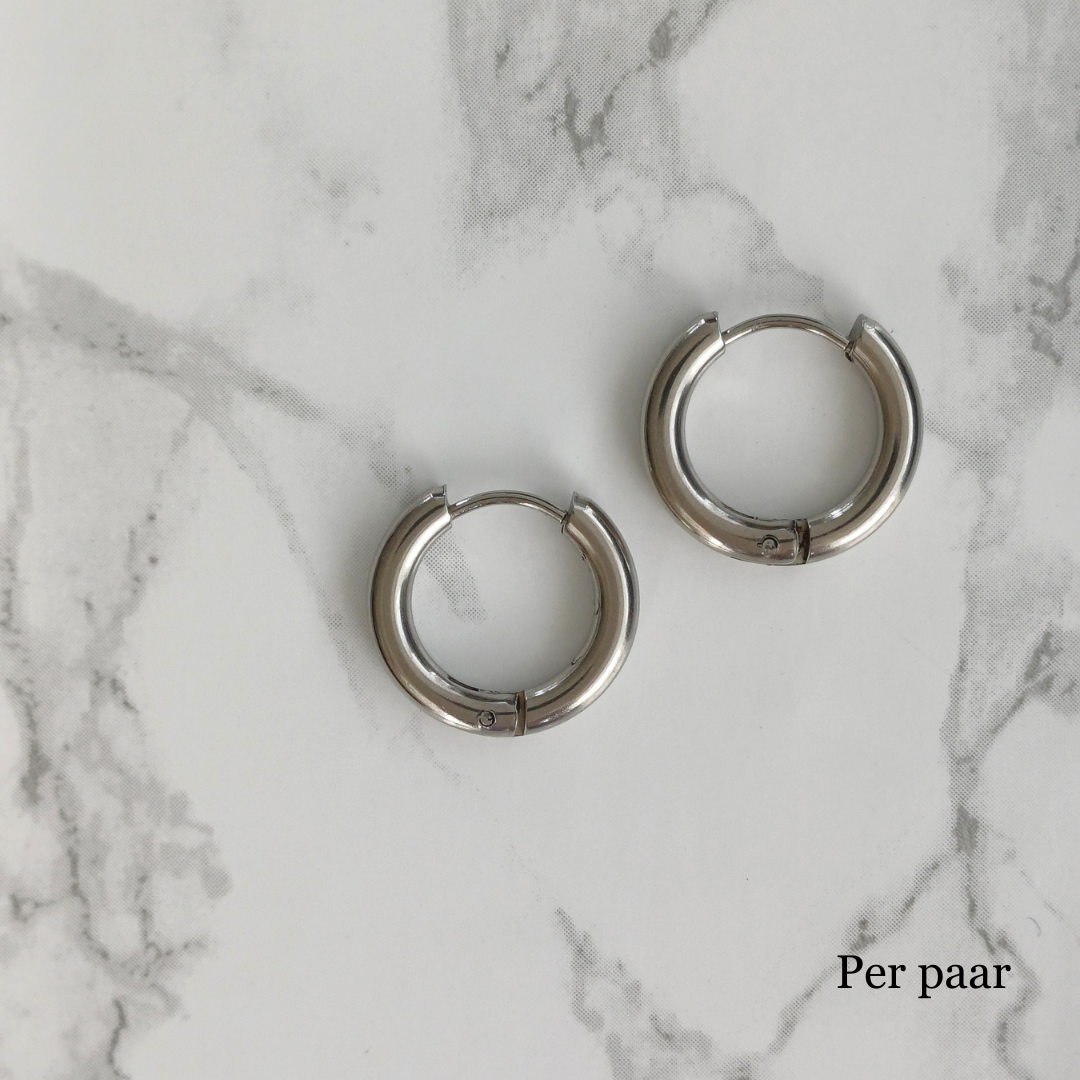 Oorringen groot zilver RVS