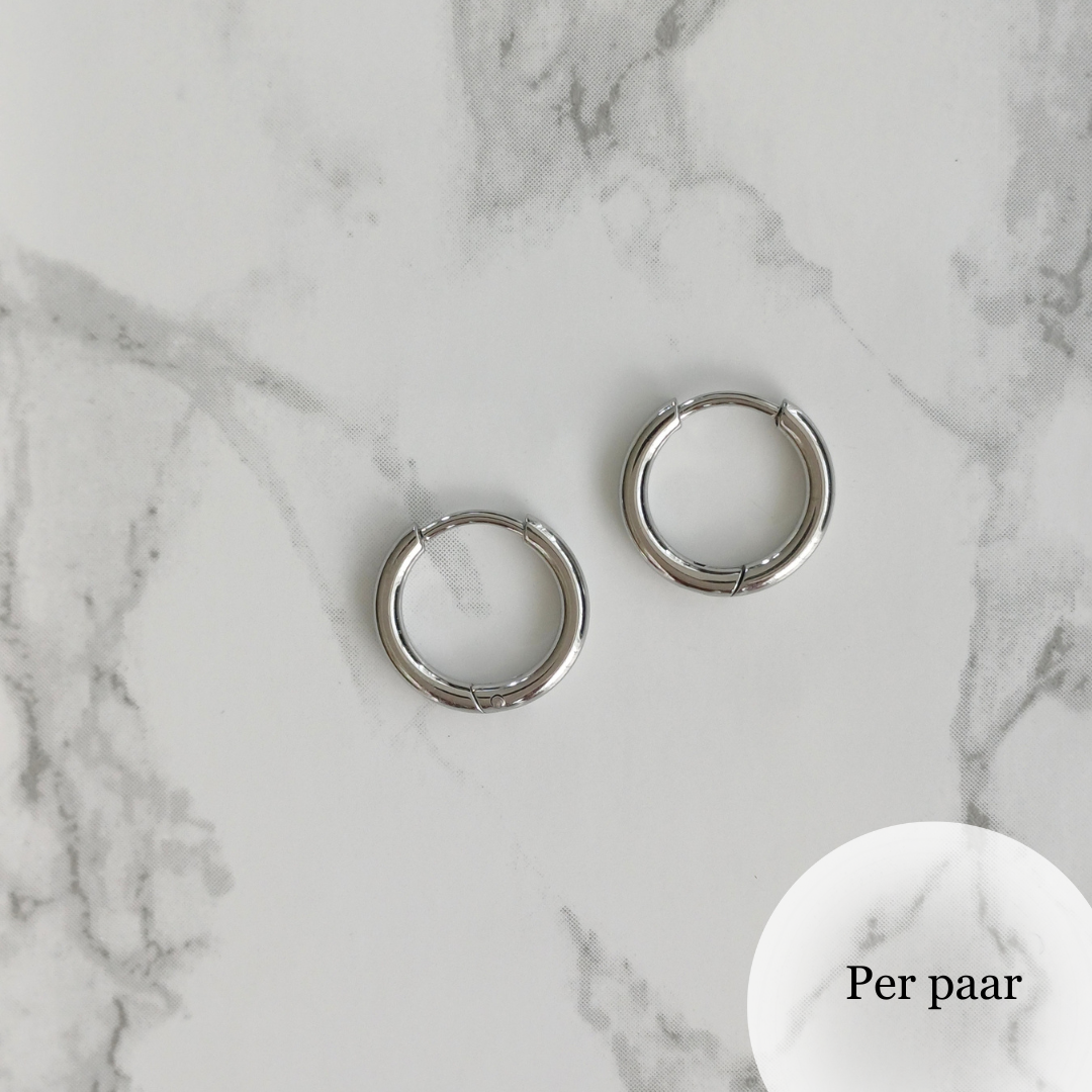 Oorringen zilver RVS