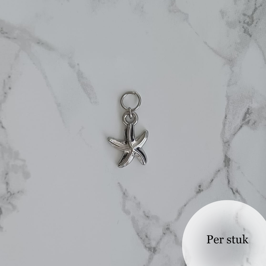 Mix & match bedel met RVS zeester zilverkleur
