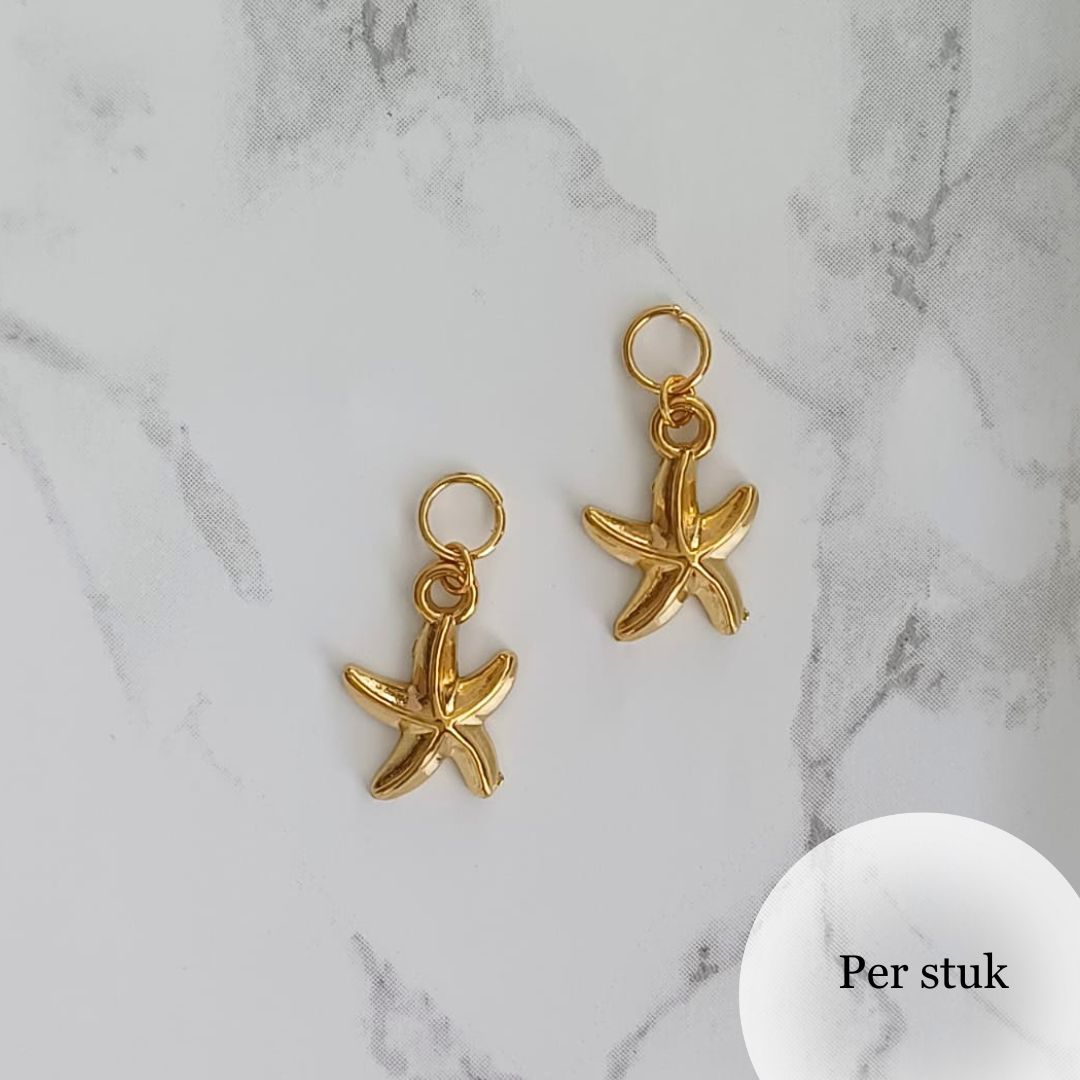 Mix & match bedel met RVS zeester goudkleur