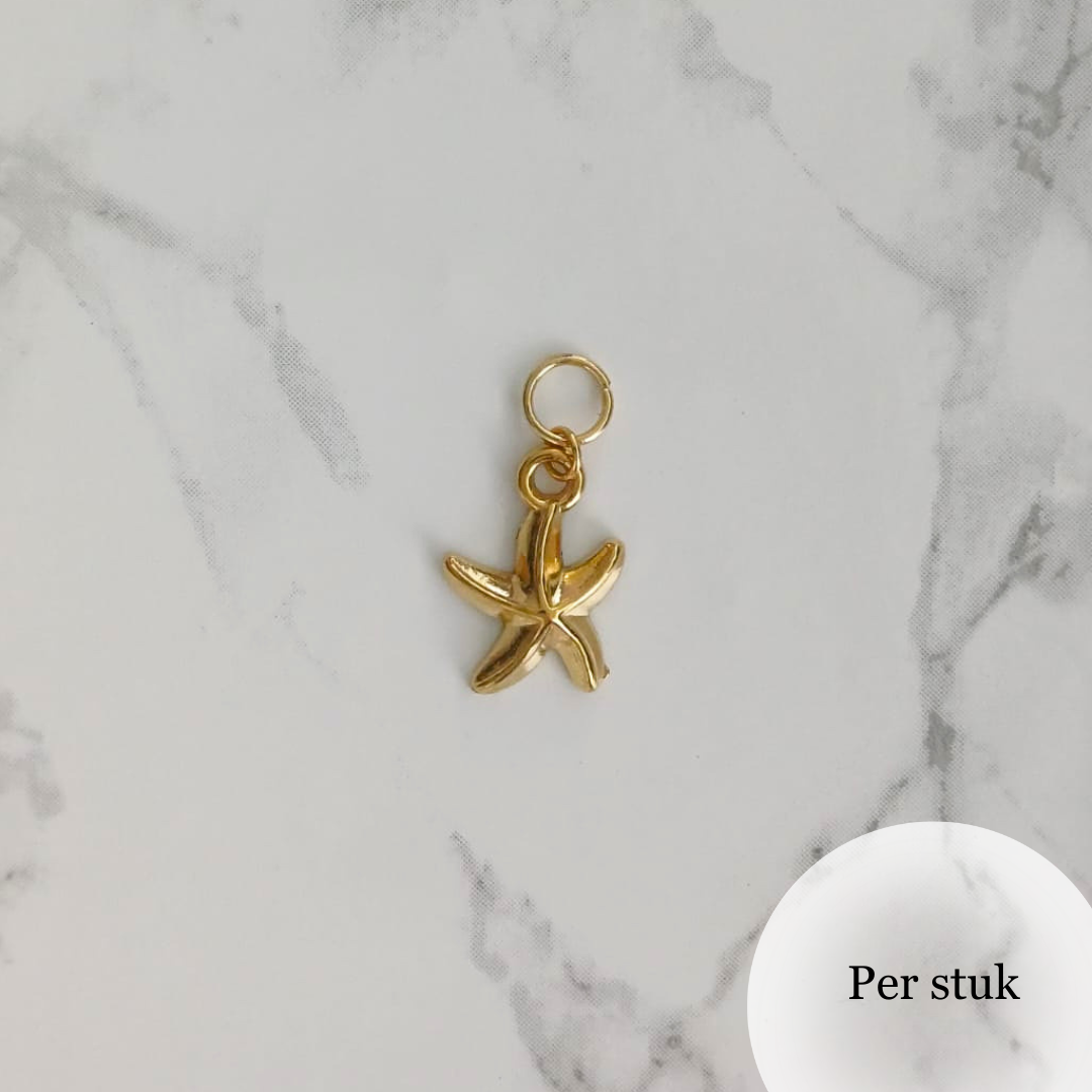 Mix & match bedel met RVS zeester goudkleur