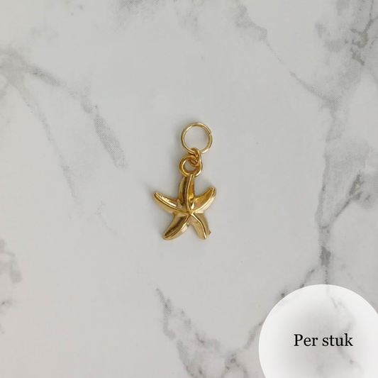 Mix & match bedel met RVS zeester goudkleur