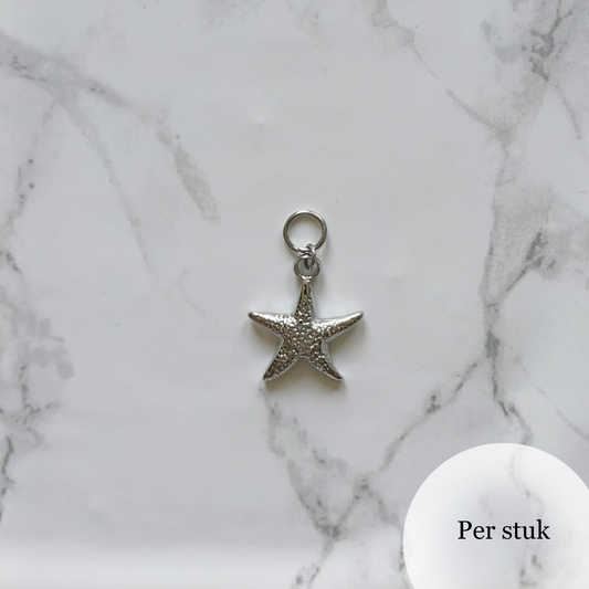 Mix & match bedel met RVS zeester zilverkleur