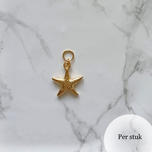 Mix & match bedel met RVS zeester goudkleur