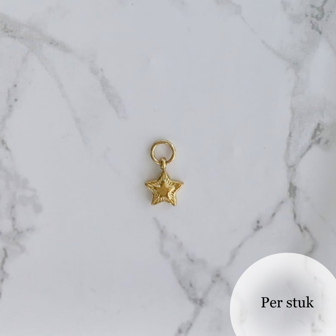 Mix & Match RVS ster bedel met reliëf goudkleurig