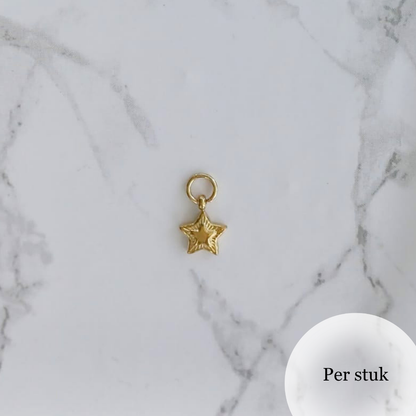 Mix & Match RVS ster bedel met reliëf goudkleurig