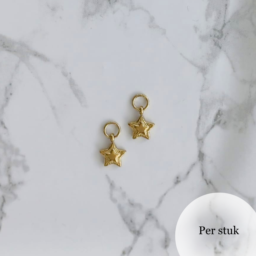 Mix & Match RVS ster bedel met reliëf goudkleurig