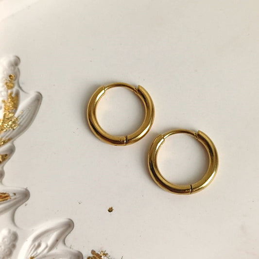 Oorringen 18K gold plated RVS