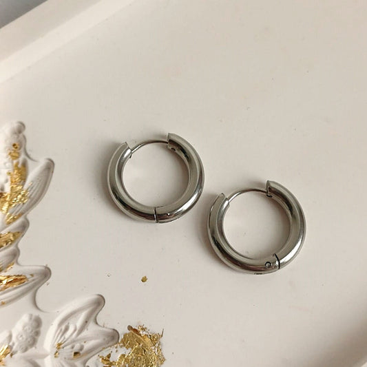 Oorringen groot zilver RVS